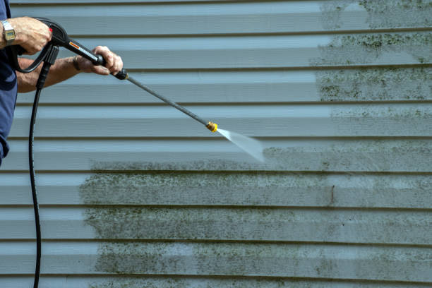 Best Residential Pressure Washing Services  in Riverview, FL