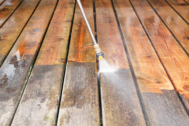 Best Pressure Washing Company Near Me  in Riverview, FL