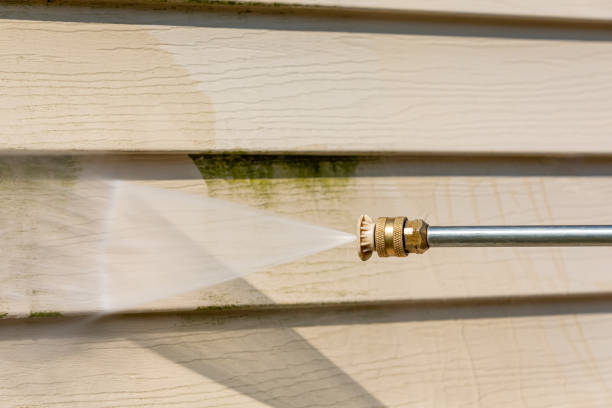 Best Best Pressure Washing Companies  in Riverview, FL